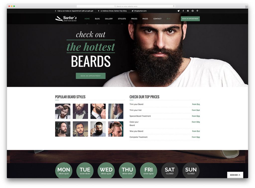 Salon WordPress Themes