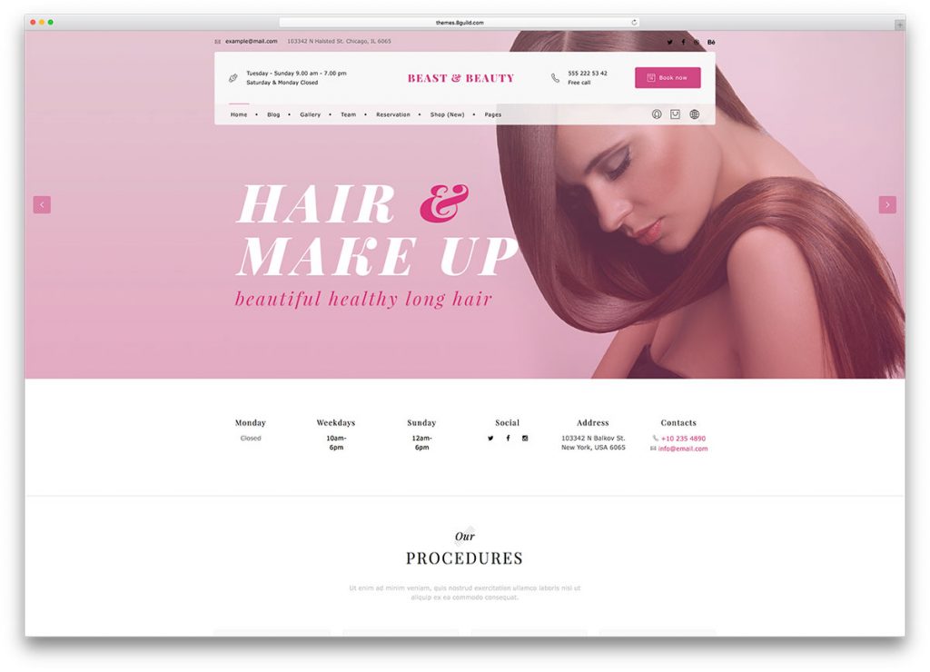 Salon WordPress Themes