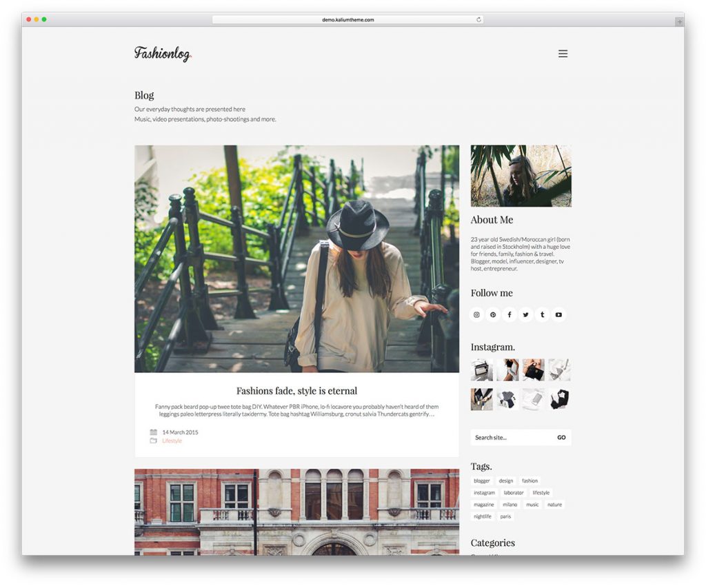 WordPress blog themes