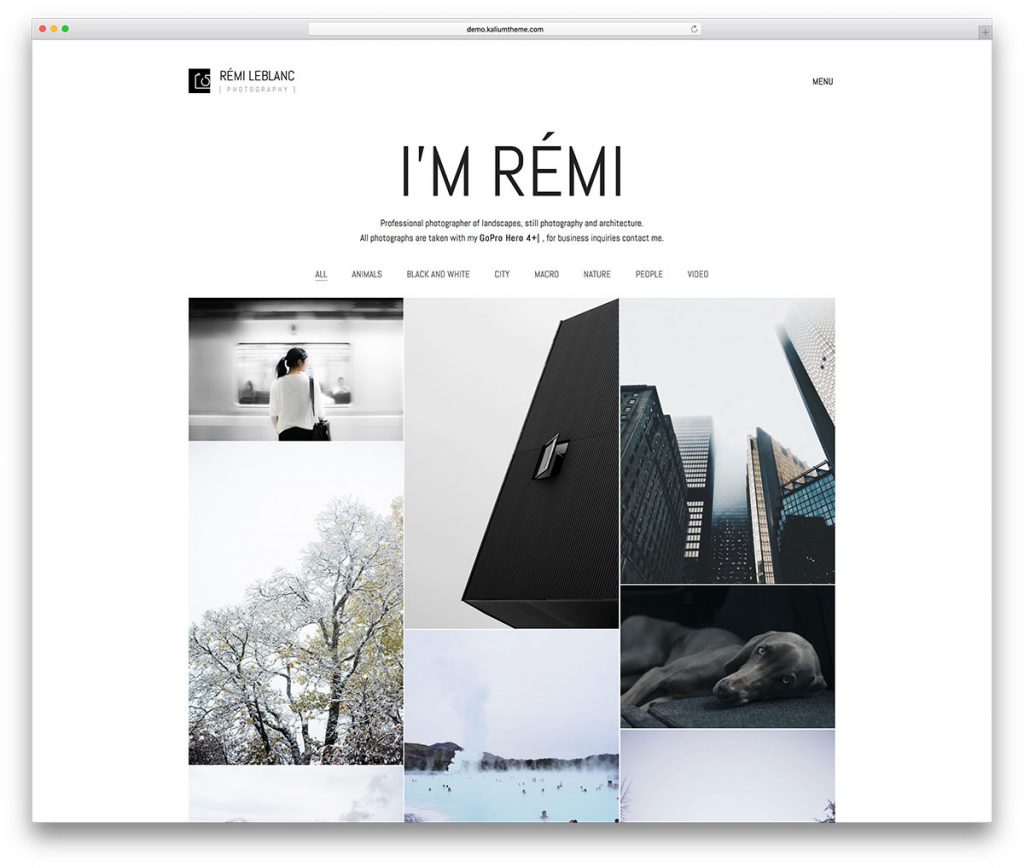 wordpress photography themes