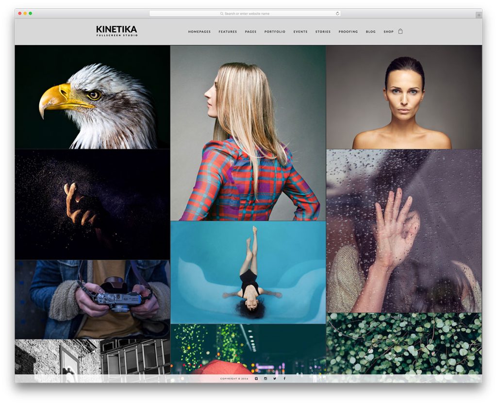 wordpress portfolio themes