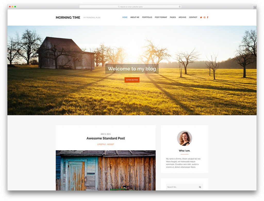 WordPress blog themes