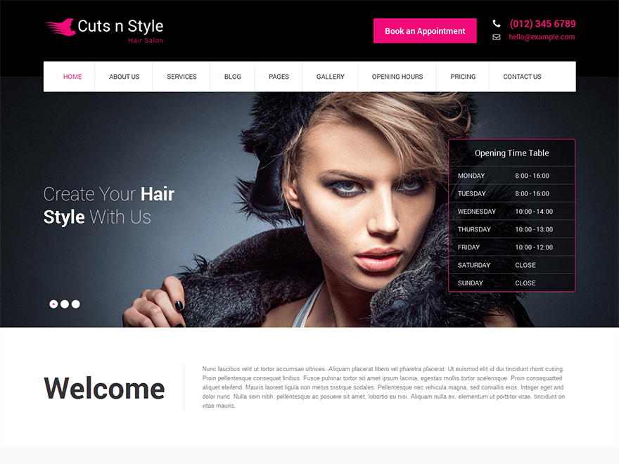 Photography WordPress Themes SKT