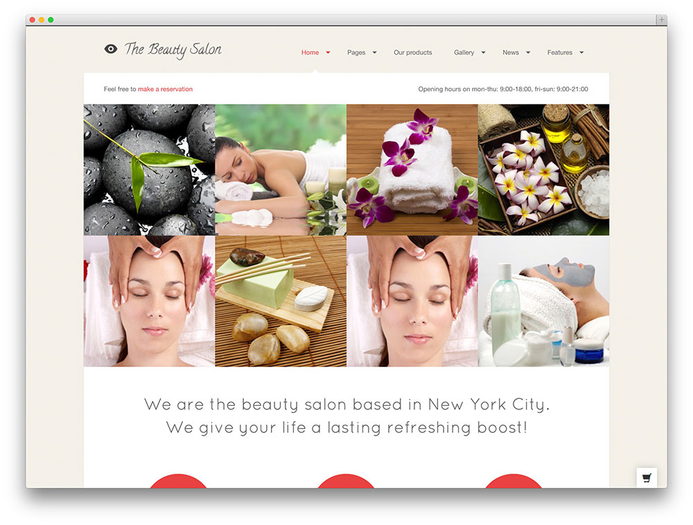 Salon WordPress Themes