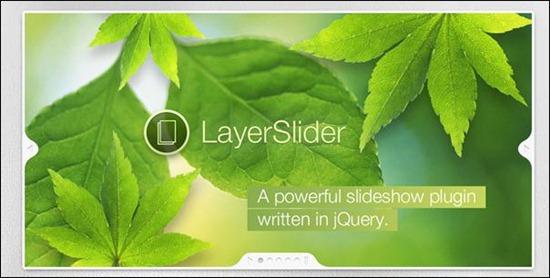 layer slider plugin