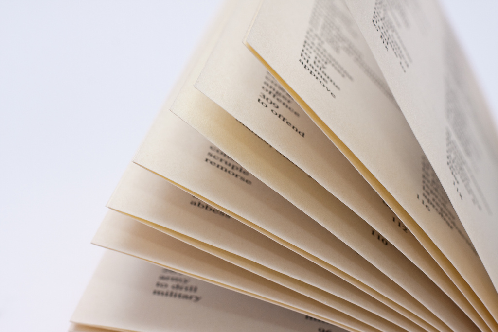 Yellowed pages from a dictionary Yellowed pages from a dictionary