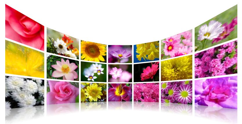 3D-photo-gallery 3D-photo-gallery