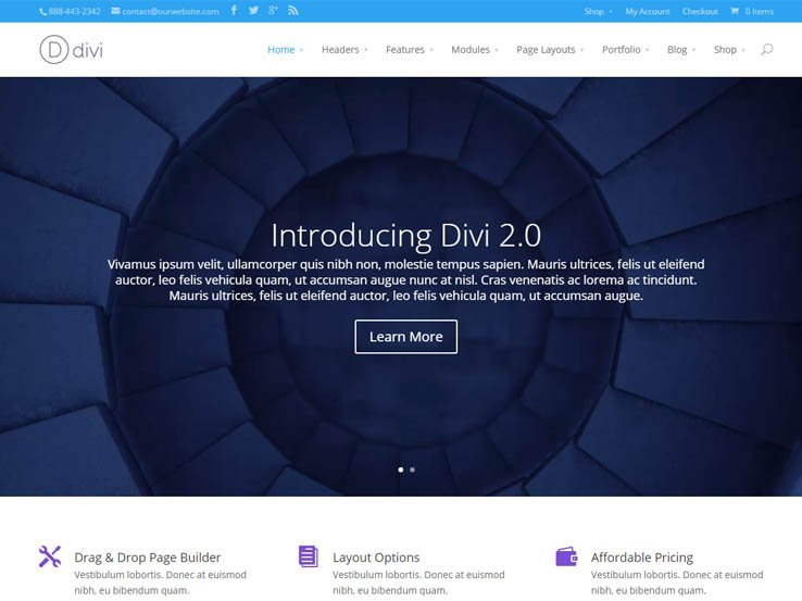 wordpress themes for writers divi
