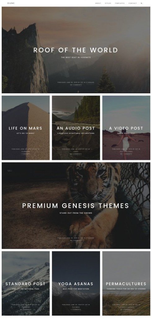 wordpress themes for writers dune