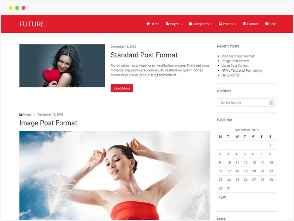 responsive free wordpress themes future