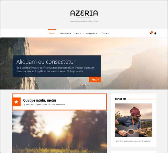free portfolio wordpress themes Azeria