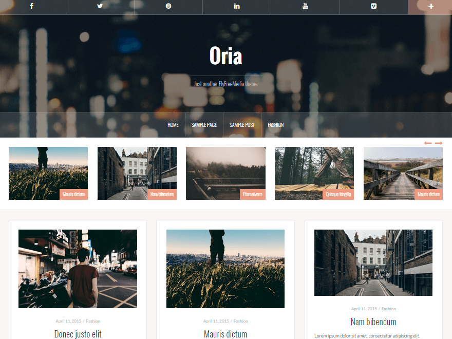 free portfolio wordpress themes Oria