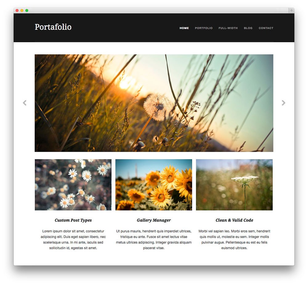 free portfolio wordpress themes Portafolio