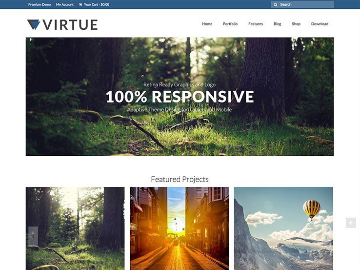 free portfolio wordpress themes Virtue1