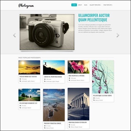 Photography WordPress Themes Photogram