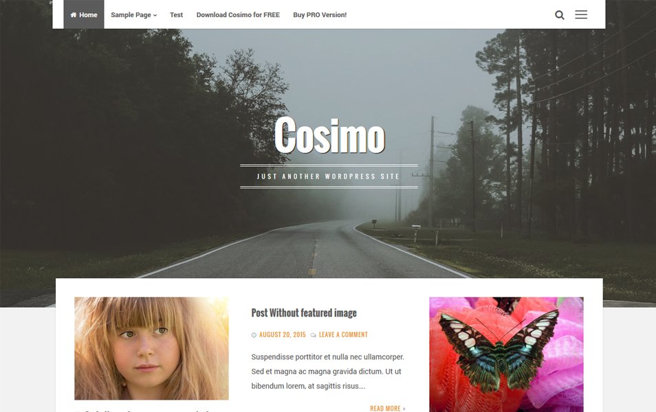 free wordpress video theme Cosimo