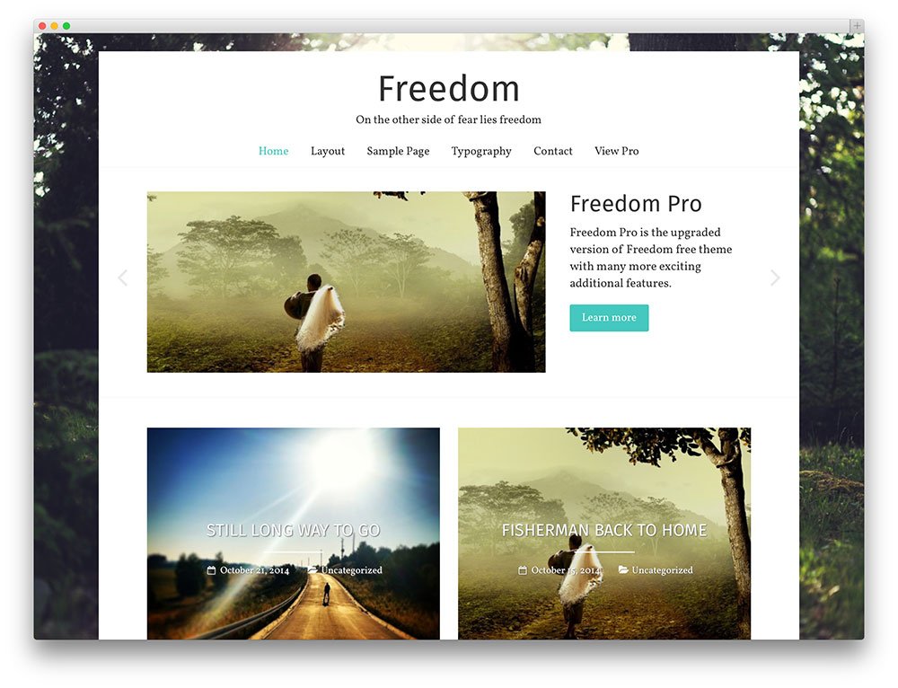 Photography WordPress Themes freedom