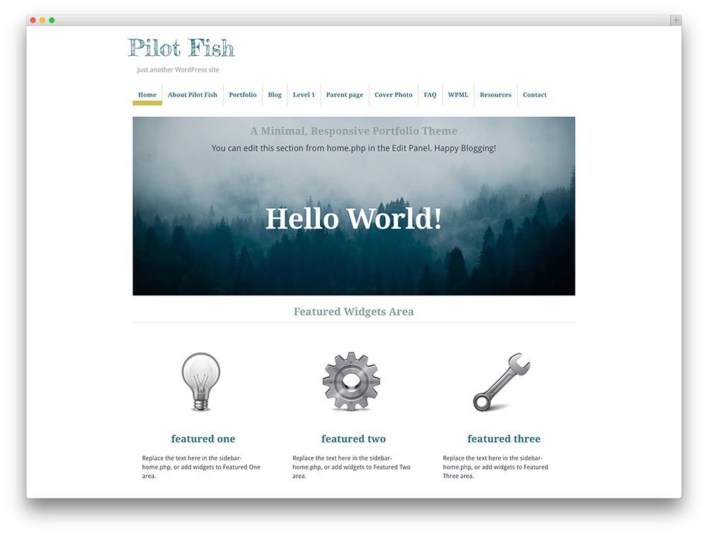 free parallax scrolling wordpress themes pilot fish