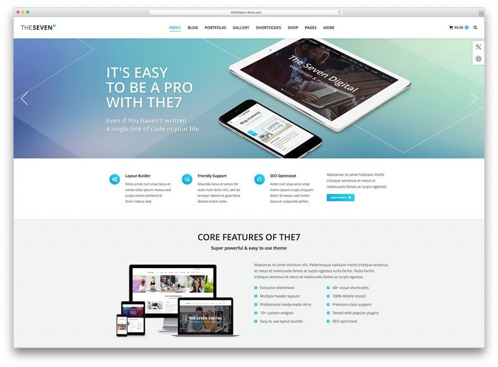 customizable wordpress themes the7