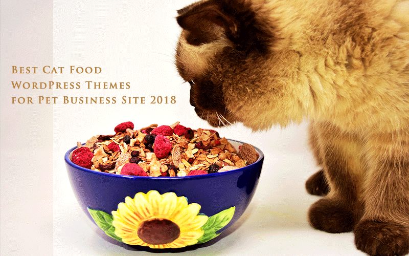best cat food WordPress themes for pet business