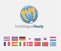 Wpml Support11